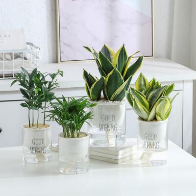 China Modern Creative Ceramic Combination Glass Self Watering Planter Self Watering Water-absorbing Flower Pot for sale