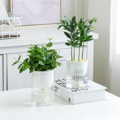 China Modern Home Decor Ceramic Accessories And Self Glass Watering Pots For Indoor Plants for sale