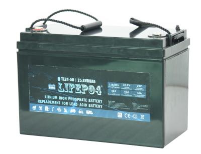 Cina Litio portatile Ion Battery della batteria Lifepo4 di 24v 30ah Lifepo4 in vendita