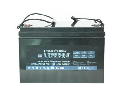 Cina litio portatile BMS For Replacement Of della batteria Lifepo4 di 24V 42AH acido al piombo in vendita