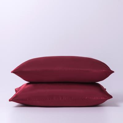 China 2021 Hot Pure High Quality Pure Polyester Three Star Hotel Color Anti-bacteria Factory Sale Convertible Bed Pillow With Pillow Case for sale