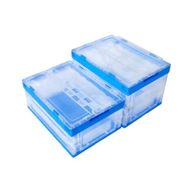 China Medicine Solid Universal Food Box Transparent Folding Tools Folding Storage Box for sale