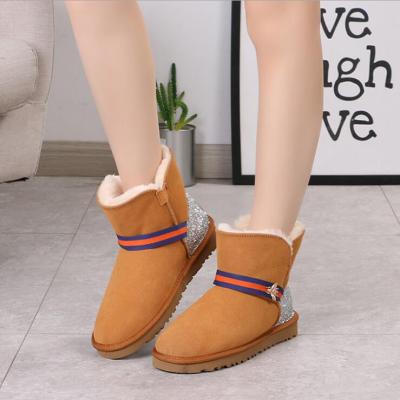 China Deodorization 2021 autumn winter snow boots fashion soft plush new hot women's snow boots for sale