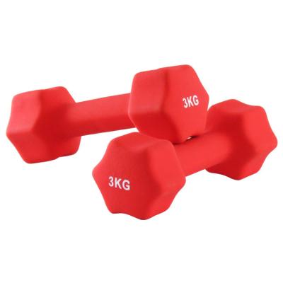 China Universal Star End Gym Fitness Dumbbell Cast Dumbbell PVC Coating for sale