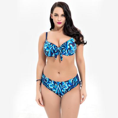 China Plus Size Two piece Swimsuit print flower Swimsuit Women Push up 1928 for sale