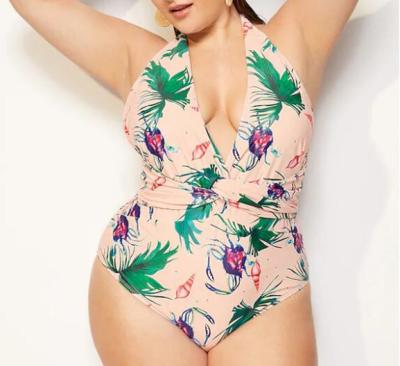 China 2019 New Plus Size One piece Swimsuit Deep V Swimsuit Women Push up V0001 for sale