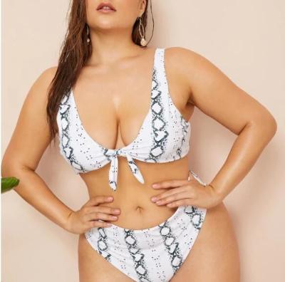 China 2019 New Plus SizeTwo piece  Swimsuit Women Push up for sale