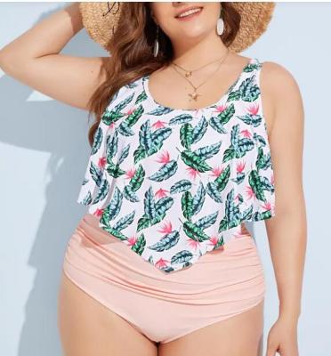 China 2019 New Plus SizeTwo piece   Woman's swimwear Push up for sale