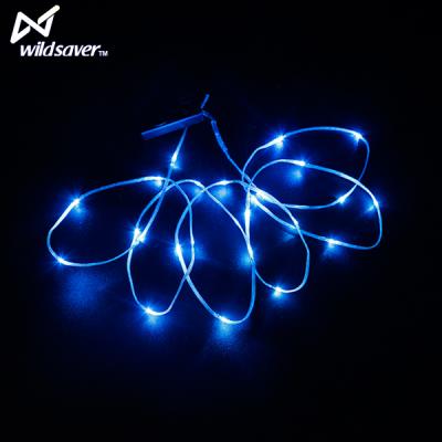 China Portable WAREHOUSE LANDSCAPE LANDSCAPE OFFICE THEME PARK HOTEL ROAD AAA Battery Pack Led Strips Lighting / Colorful Small Led Battery Light for sale