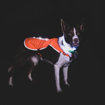 China Eco-Friendly Easy Attaching Jogging Walking Led Flashing Led Vest Training Pet Vest Accessories Customized for sale