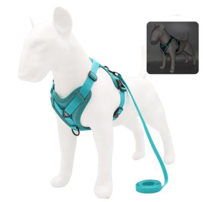 China Amazon Reflective Breathable Dog Leash And Harness Set Pet Vest Cat Walking Leash Dog Leash Style Chest for sale