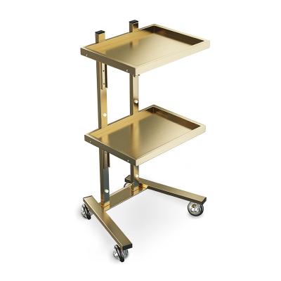 China Hot Selling Modern Double Layer Beauty Stylist Trolley Rolling Trolley For Barber Trolley Gold Metal Salon Furniture Trolley for sale