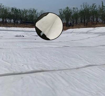 China Nicht Gewebe zusammengesetzte Geomembrane-Verkehrs-Tunnel-Bau-Isolierung zu verkaufen