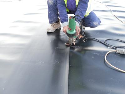 중국 30 Mil PVC Geomembrane 강선 수영풀을 위한 방수 막 연못 강선 판매용