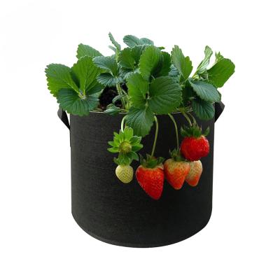 China High Quality Plant Growing Garden Grow Bags Tomato Potato Blueberry Strawberry Plant Grow Bags for sale