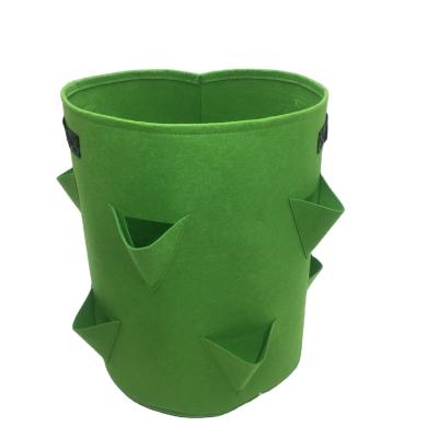 China Eco - Friendly Outdoor Felt Plant Strawberry Growing Bags For Garden for sale