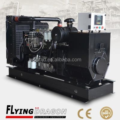 China High quality low price! 50kw Electric Diesel Dynamo Gensets With Lovol Diesel Engine , 3 Phase Power Generating Equipment CLLV-50LVG for sale