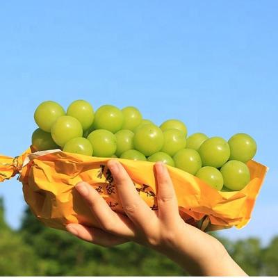 China Disposable professional high quality customs protection lemon grape fruit bag paper for fruit shop supermarket for sale