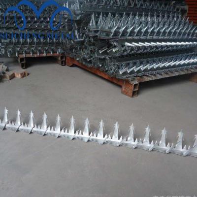 China Wall Spike For Protection Guangzhou Factory Hot Dip Galvanized Wall Spikes Middle Type Security Fence Spikes for sale