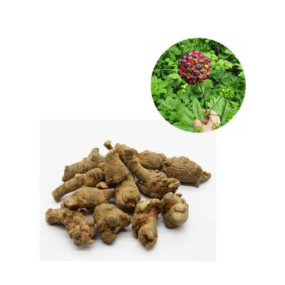 China Traditional Chinese Medicine Herbs Panax Notoginseng Root Sanchi /Health Powder 400tons/Yeah for sale