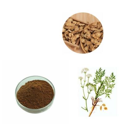 China Natural Plant/Fangfeng Extract Supplies Parsnip/Parsnip Extract 300tons/Year for sale