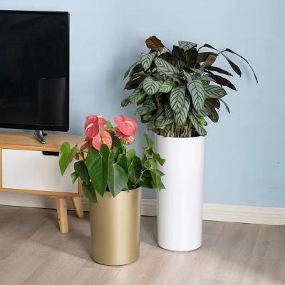 China Contemporary Decorative Self Watering Plastic Flower Potted Plant Garden for sale