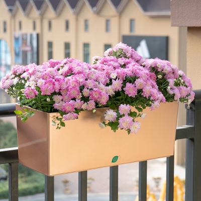 China Large Contemporary Hanging Plastic Plant Pot Garden Home Decorative Flower Pot for sale