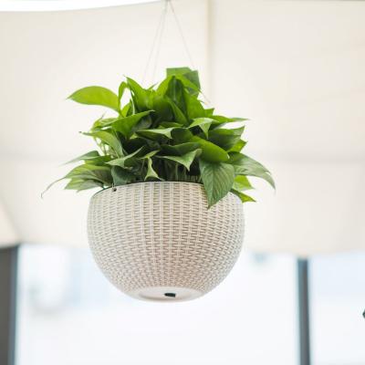 China Contemporary Convenient Hanging Flowerpot Garden Supplies Self Watering Plant Plastic Flower Pot for sale