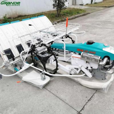 China Manual rice transplanter paddy transplanter machine price rice planter 6 row rice transplanter for sale