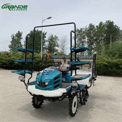 China Riser type paddy field 6 rows rice farm transplanter planting machine with factory price for sale