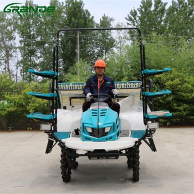 China Farm similar kubota high speed 6 rows climbing type rice transplanter with cheaper price for sale