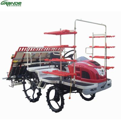 China Riser type rice plotter paddy field 6 rows rice cultivator for sale for sale