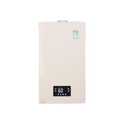 China Hotel Most Popular Consumer Combi Water Heating Condensing Gas Boiler For Central Home for sale