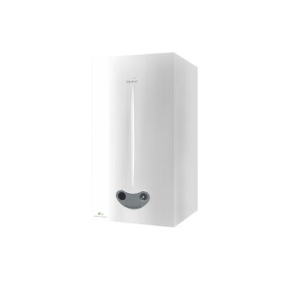 China Hotel Coating White Wall Hung Mounted Gas Boiler New Arrival Household Hot Water Quickly Heating and Storage 125 for sale