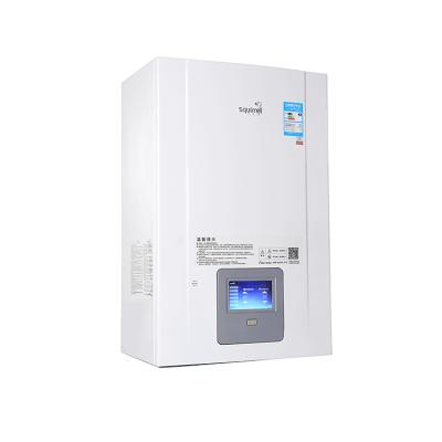 China Hotel Factory Wholesale Controller Combi Quickly Heating Gas Boiler for sale