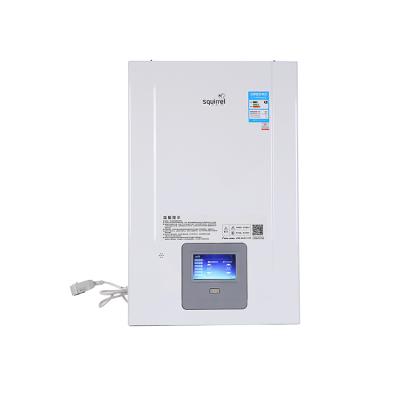 China Hotel Modern Design Economical Small Kitchen Water Heater Smart Instant Gas Boiler for sale