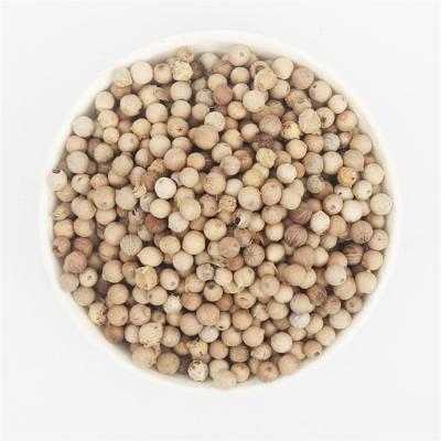 China High quality wholesale cheap bulk dehydrated high quality delicious white pepper /whole powder for sale