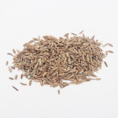 China Wholesales Dried Bulk Natural Steaming Spice Dried Cumin Seed Fennel Seeds for sale