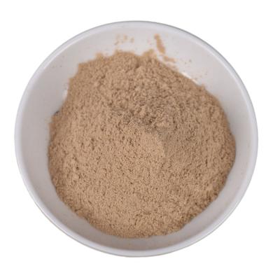 China Wholesale Dried Shiitake Mushroom Powder with High Quality for sale