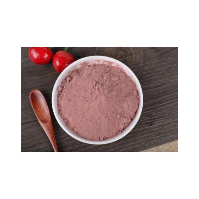 China Economical and Reliable Pure Natural Chinese Purple Cabbage Powder 80-100mesh High Quality Cheap Price for sale