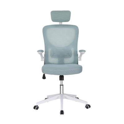 China (Height) Popular Adjustable Ergonomic Mesh Executive Office Chair With Headrest for sale