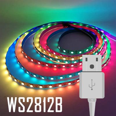 China Hotel Music WS2812B USB Pixel Led Strip Lights 5050RGB 5M 90LED Color Changing Accessible Dreamcolor LED Strip Lights for sale