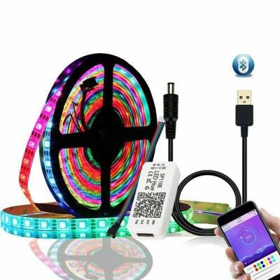 China Hotel WS2812b USB LED Strip Lights BT USB Accessible Flexible Color 5V Dream Pixels Chasing Flexible LED Lights For Room for sale