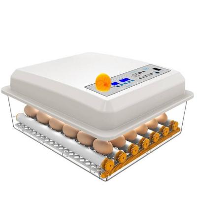 China Hot Product 2019 High Productivity Egg Incubator 176pcs Eggs 80W 220V/12V With Free Spare Parts for sale