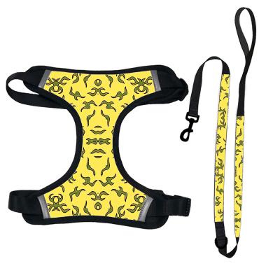 China Upgrade JEWELED Custom LOGO Dog Luxury Mesh Harness and Leash Set Fits All Size Pet for sale