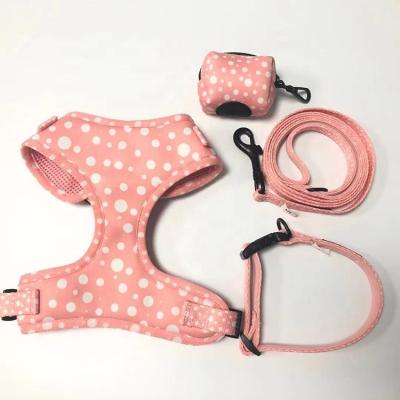 China Hot Selling Lights Sample Style Dog Harness Set Custom Logo Harness Leash Set For Small Private Dogs for sale