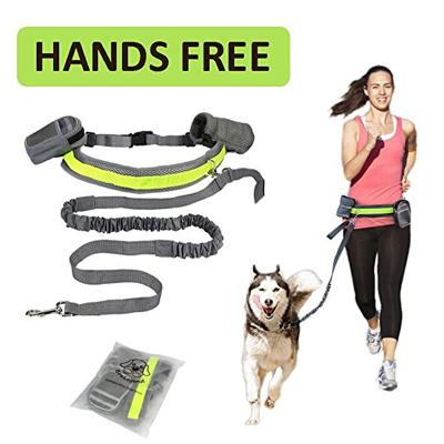 China Viable Pet Belt Running Elastic Dog Leash Set Hands Free Dog Leash Collar Pet Accessories Puppy Harness Leash For Animals for sale