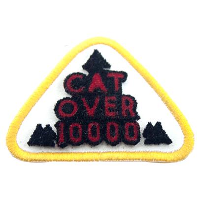 China special 3D patch customized toothbrush embroidery patches for sale