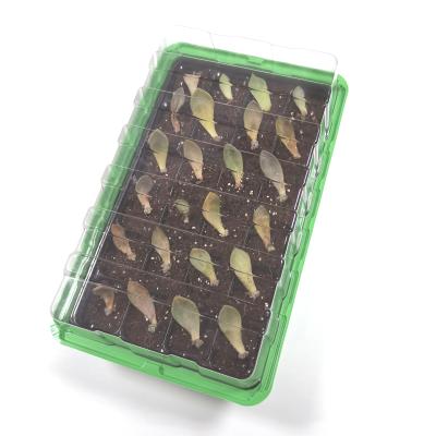 China Normal Plastic Spreader Seeding Tray Lid for sale