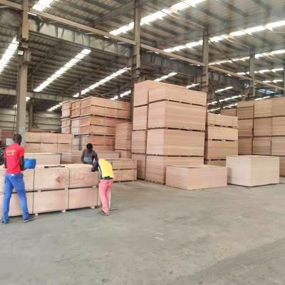 China Gabon Plywood Factory 100% Traditional Commercial Okoume Plywood Full en venta